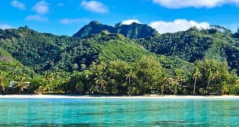 Private beach, white sand, sun loungers, beach towels