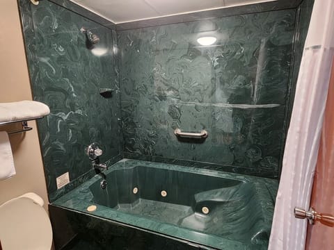 Combined shower/tub, free toiletries, hair dryer, towels