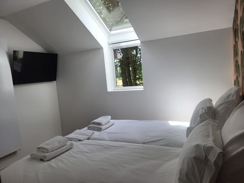 Twin Room | Desk, free WiFi