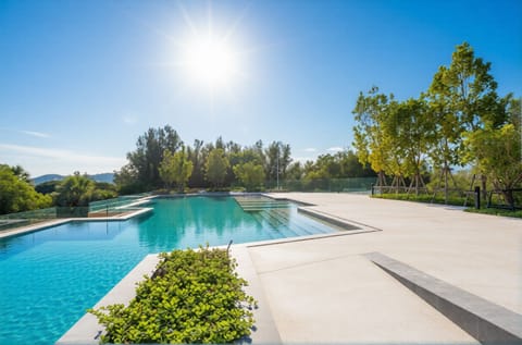 Rooftop pool