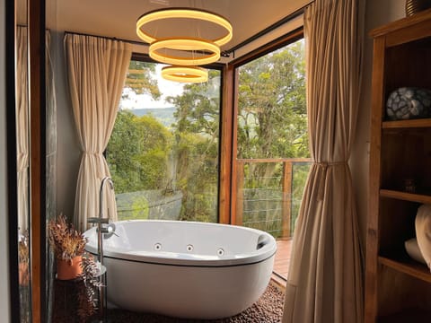 Private spa tub