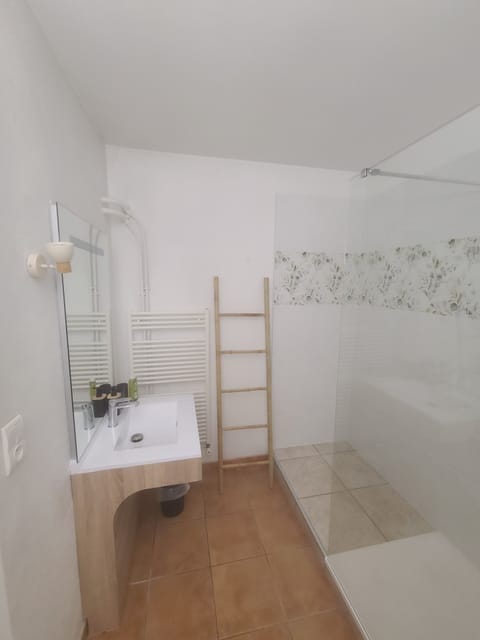 Double Room | Bathroom | Shower, hair dryer, towels, soap