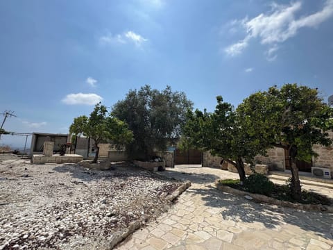 Apartment, 1 Bedroom, Smoking | Property grounds