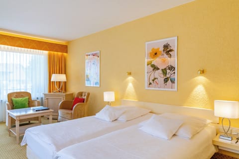 Comfort Double Room, Balcony, Garden View | In-room safe, desk, laptop workspace, iron/ironing board