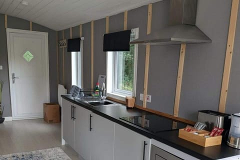 Fridge, microwave, stovetop, electric kettle