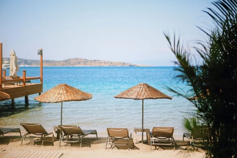 Private beach, sun loungers, beach umbrellas