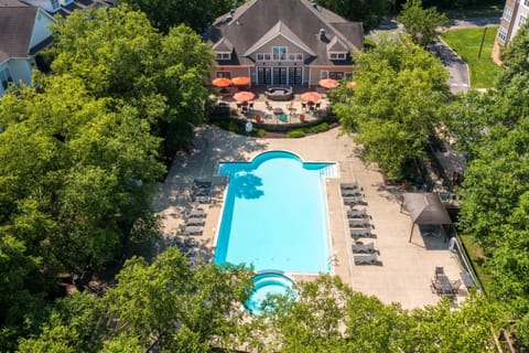 Seasonal outdoor pool, sun loungers