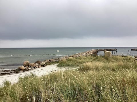 House | Beach