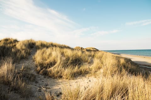 Beach nearby