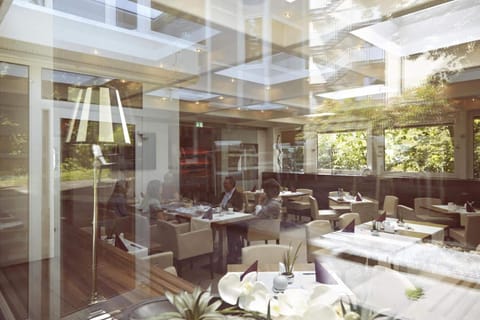 International cuisine