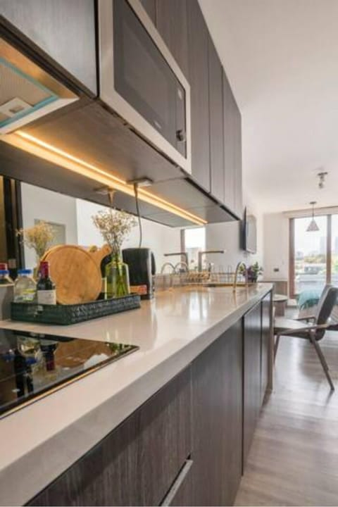 Standard Apartment, City View | Private kitchenette | Fridge, microwave, stovetop, electric kettle