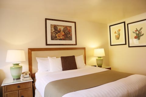 Standard Room, 1 King Bed | Desk, laptop workspace, blackout drapes, iron/ironing board