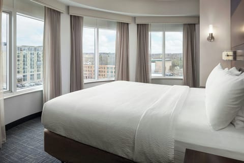 Panoramic Studio Suite, 1 King Bed with Sofa bed | View from room