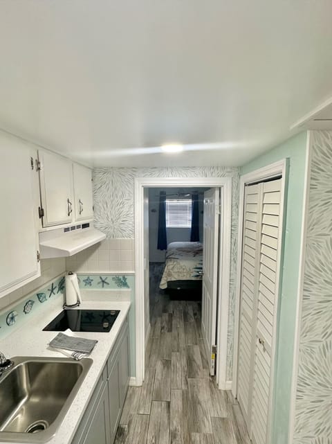 Apartment, 1 King Bed with Sofa bed, Kitchenette | Private kitchen | Microwave