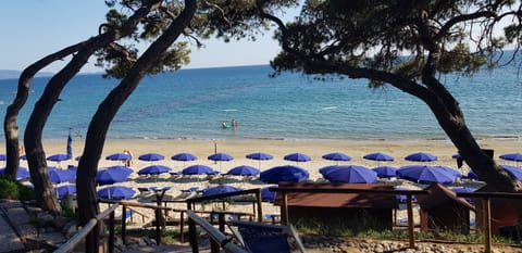 Private beach nearby, white sand, sun loungers, beach umbrellas