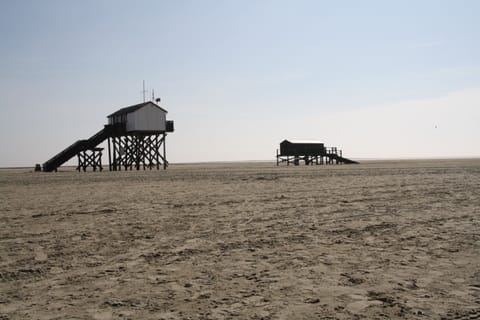House | View from property