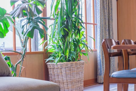 Basic Villa, Mountain View | Free WiFi, bed sheets