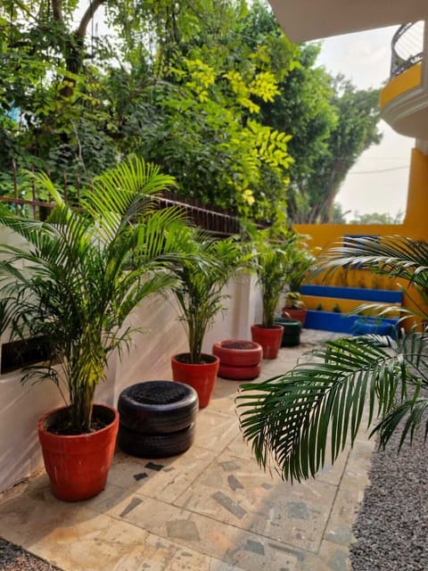 Garden view