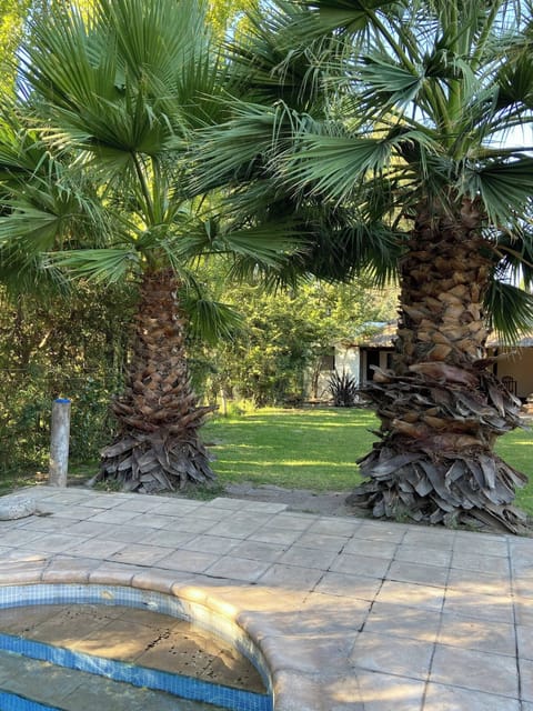 Apartment, 1 Bedroom, Smoking, Patio | Garden