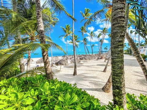 On the beach, white sand, sun loungers, beach umbrellas