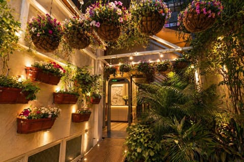 Deluxe Room, City View | Terrace/patio