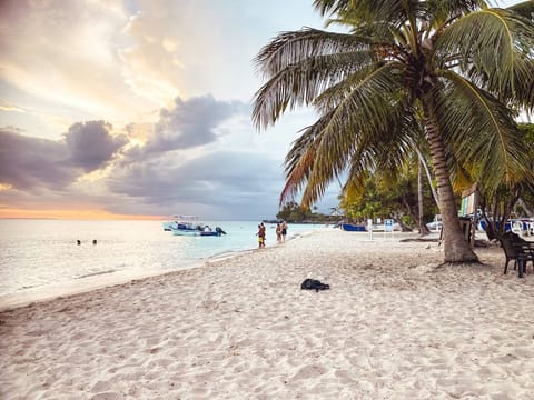 Apartment, 2 Bedrooms, Smoking, Balcony | Beach