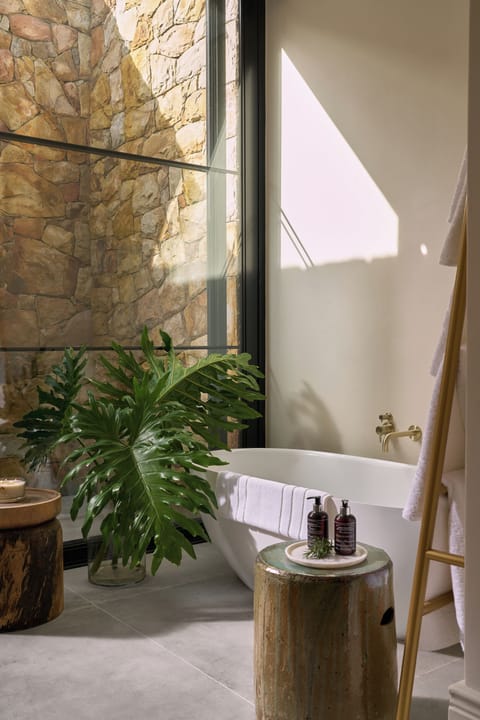 Luxury Spa Suite | Bathroom | Separate tub and shower, hair dryer, towels, soap