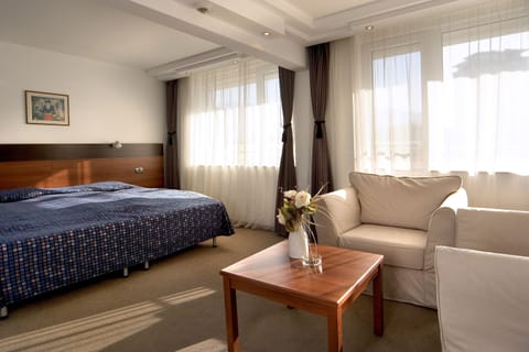 Suite | Hypo-allergenic bedding, minibar, in-room safe, desk