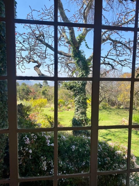 House | Garden view