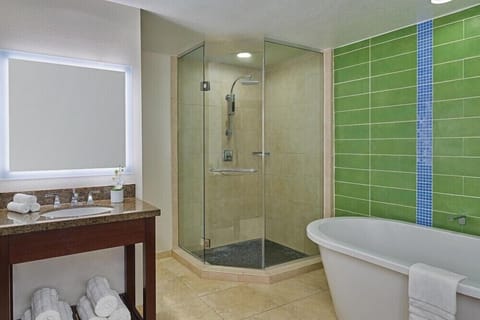 Family Apartment | Bathroom | Separate tub and shower, free toiletries, hair dryer, towels