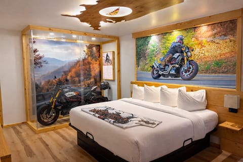 Indian FTR RSD Hooligan | Desk, free WiFi