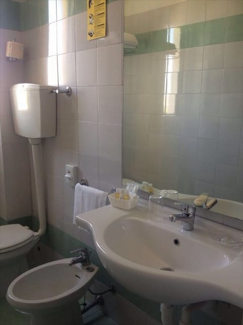 Shower, free toiletries, hair dryer, bidet
