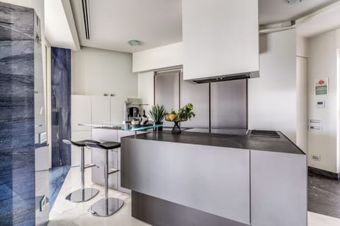 Penthouse, Sea View | Private kitchen | Full-size fridge, microwave, oven, stovetop