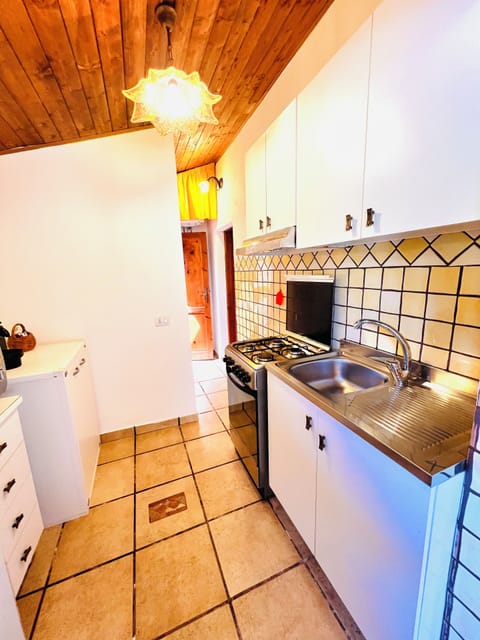 Apartment | Private kitchenette | Full-size fridge, microwave, stovetop, dishwasher
