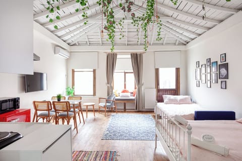 Economy Studio | Living area | TV