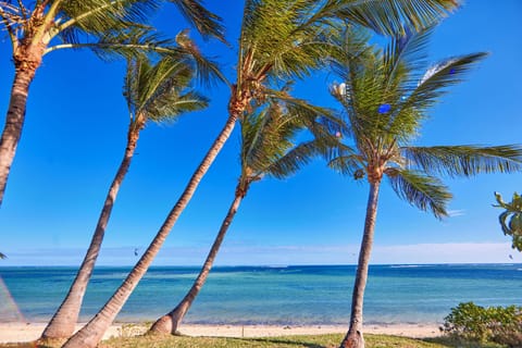 On the beach, sun loungers, beach umbrellas, beach towels