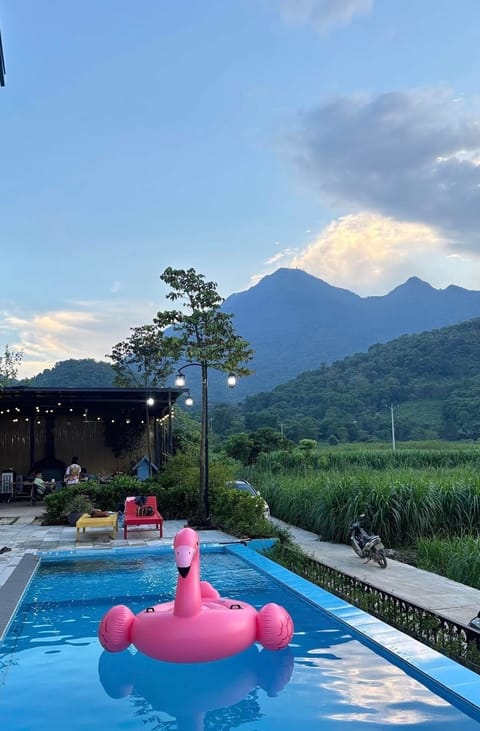 Outdoor pool