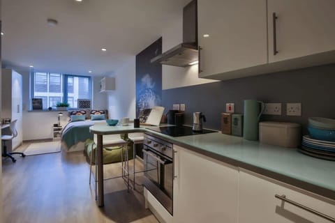 Studio, Non Smoking | Private kitchen