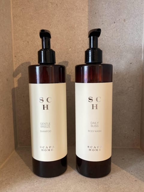 Deluxe Triple Room | Bathroom | Hair dryer, towels, soap, shampoo