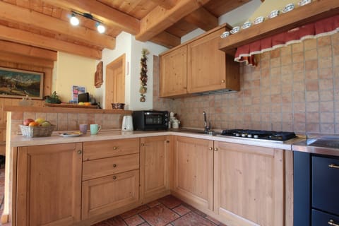 Cabin, Mountain View | Private kitchen | Fridge, stovetop, espresso maker, highchair