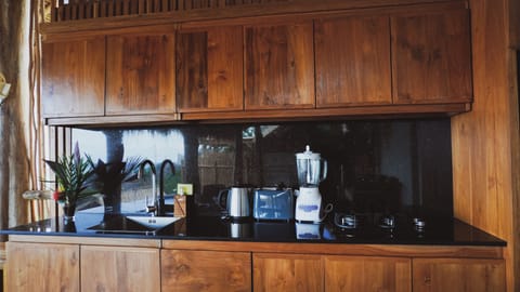 Fridge, stovetop, cookware/dishes/utensils