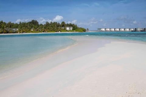 Beach nearby, white sand