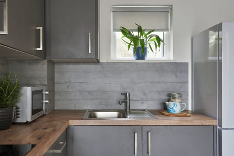 Single Room, Non Smoking, City View | Private kitchen