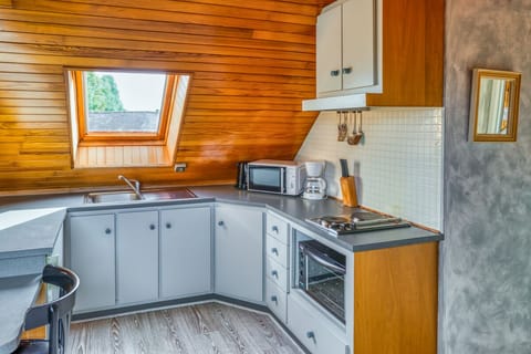 Basic Apartment, Ensuite | Private kitchen