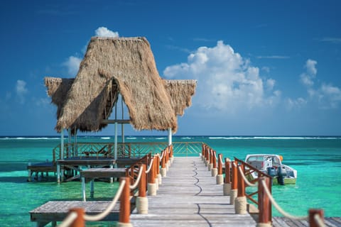 Dock