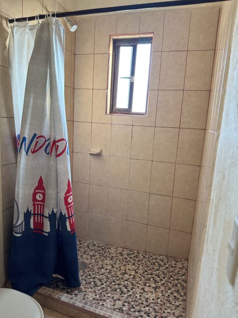 Shower, towels, toilet paper