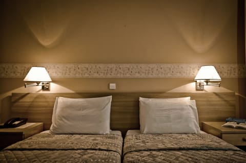 Twin Room | Minibar, in-room safe, iron/ironing board, free WiFi