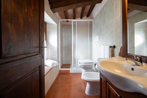 Shower, bidet, towels, toilet paper