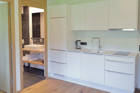 Apartment, 1 Bedroom, Balcony, Mountain View | Hypo-allergenic bedding, desk, laptop workspace, soundproofing