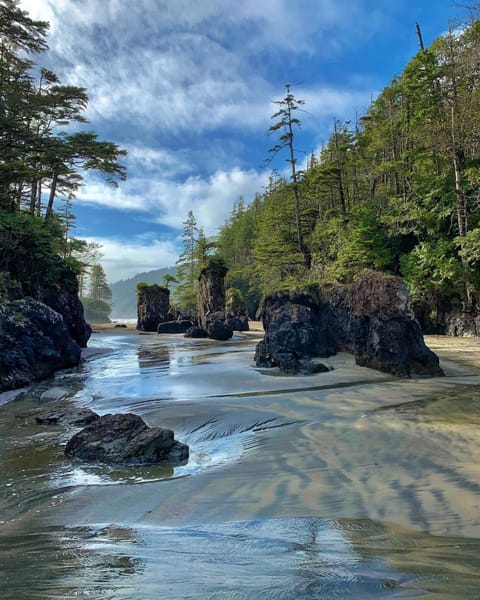 Beach nearby, black sand